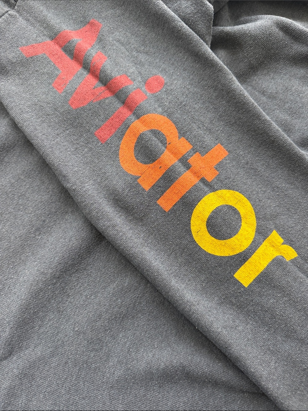 Aviator Nation Relaxed Venice Crew Sweatshirt - Picture 6 of 10